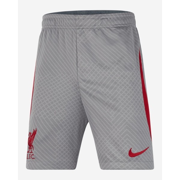 LFC Nike Big Kids TRG Strike Shorts 22-23