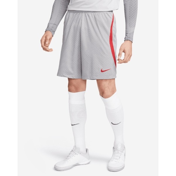 LFC Nike Mens TRG Strike Shorts 22-23 Grey