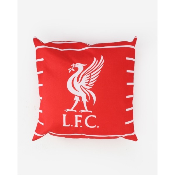 LFC Outdoor Cushion