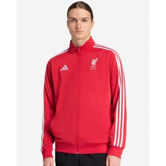 LFC adidas Mens 25/26 DNA Anthem Jacket Red