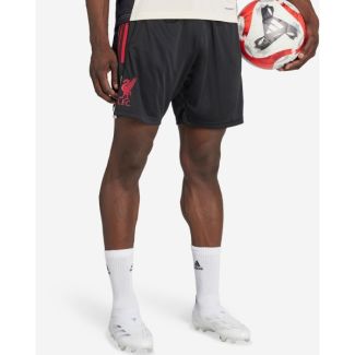 LFC adidas Mens 25/26 Domestic Training Shorts Black