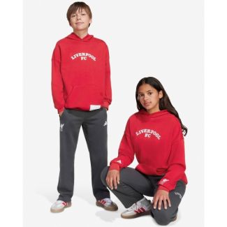 LFC adidas Youth 25/26 US Pack Pants Grey