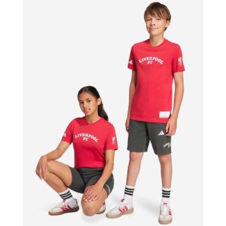 LFC adidas Youth 25/26 US Pack Shorts Grey