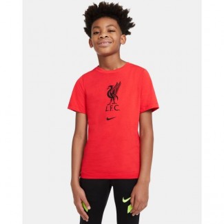 lfc nike mens training ground grey tee